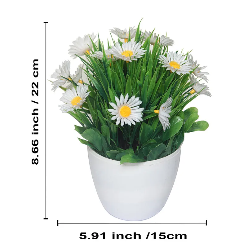 Faux White Daisy Plant With Black Plastic Pot - Set Of Two media 4