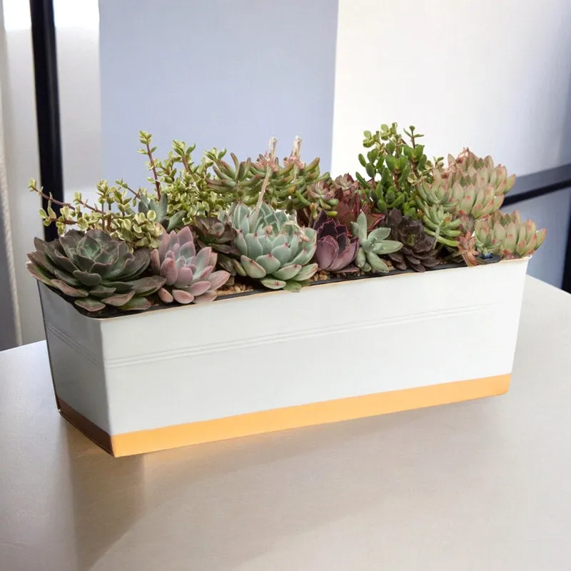 Zutoia Black Planter - Grey media 3