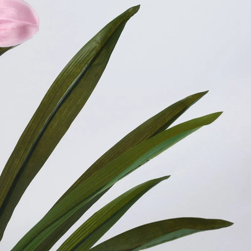 Faux Realtouch Pink Orchid Artificial Plant With Black Plastic Pot - 3.9 Feet media 6