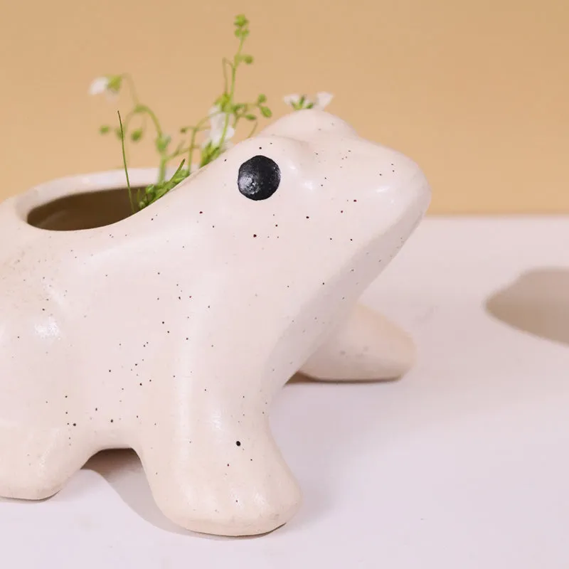 Froggy Ceramic Planter media 5