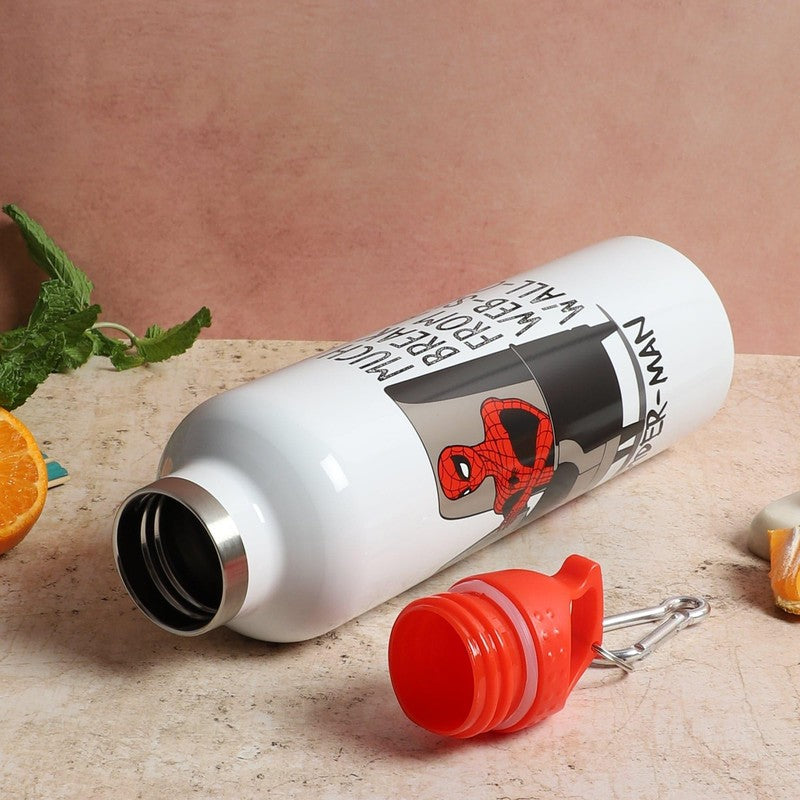 Spidey Relax Insulated Water Bottle - 1000 mL media 4