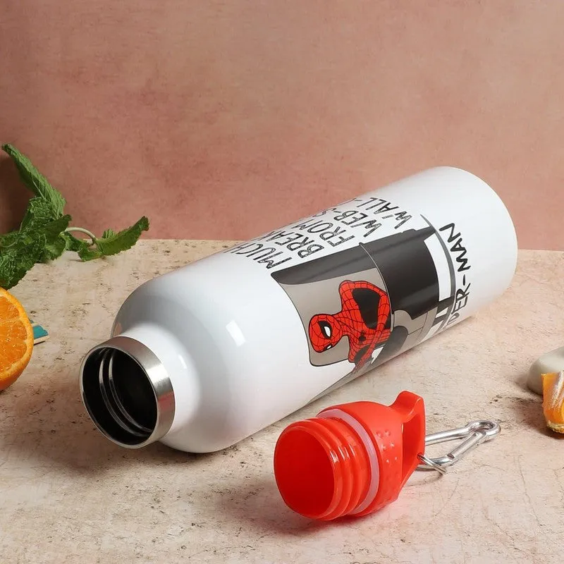 Spidey Relax Insulated Water Bottle - 1000 mL media 4
