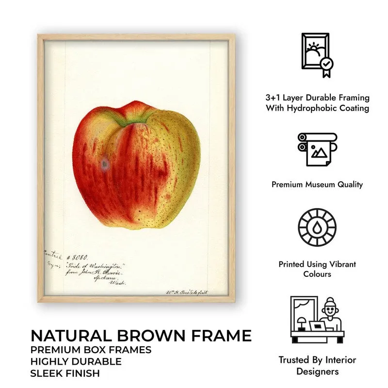 AppleHue Archival Canvas Wall Art - Brown media 11