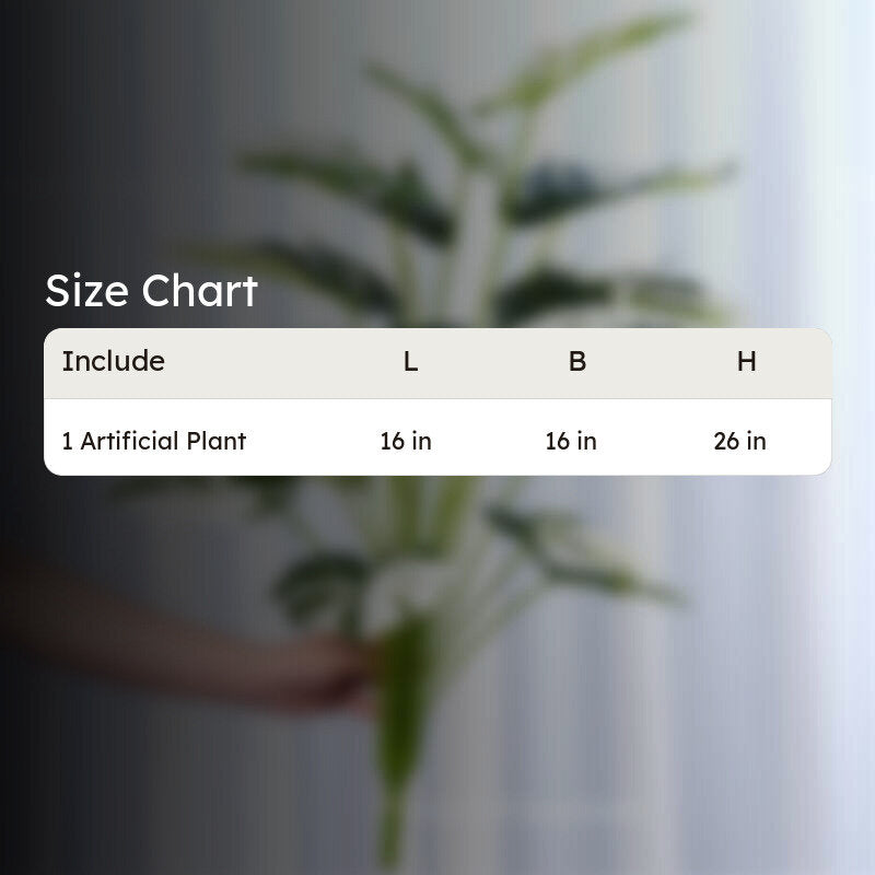 Faux Monstera Variegata Plant - 2.1 Feet media 5
