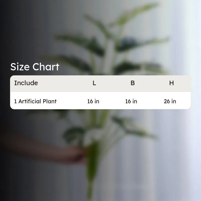 Faux Monstera Variegata Plant - 2.1 Feet media 5