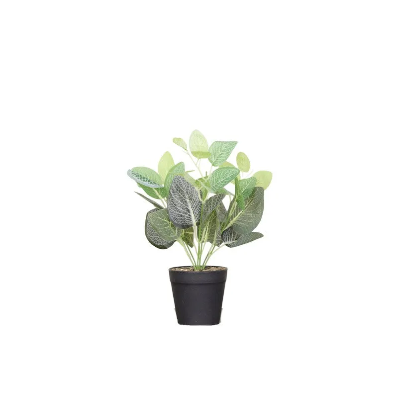 Artificial Nerve Plant With Black Fiber Pot (White,Green) - 0.9 Feet media 4