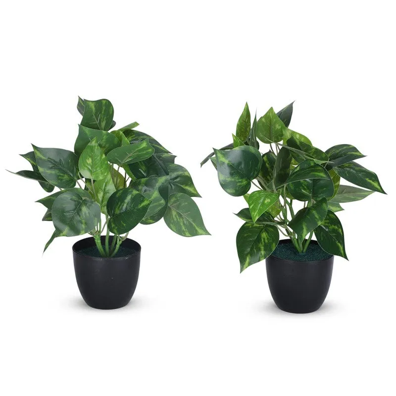 Artificial Money Plant With Black Plastic Pot - Set Of Two media 3