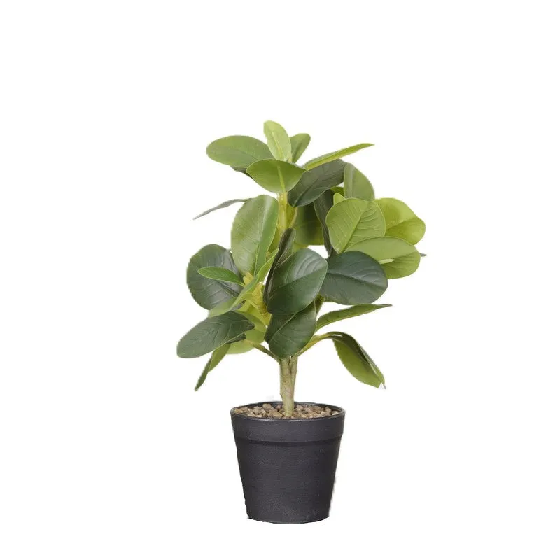 Artificial Green Natural Lookingquercus Leaf Plant With Black Fiber Pot - 1.2 Feet media 4