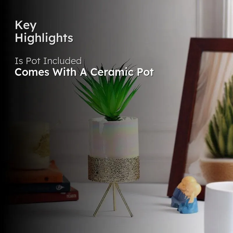 Faux Tequilana In Ceramic Pot With Tripod - 23 cms media 2