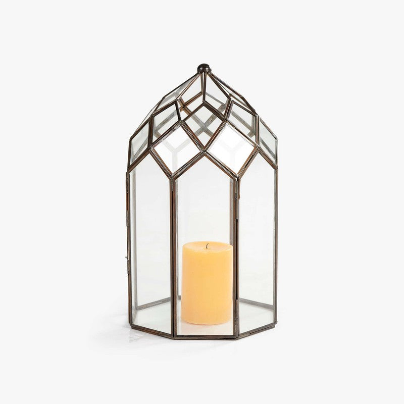 Orange Tree June Lantern media 6