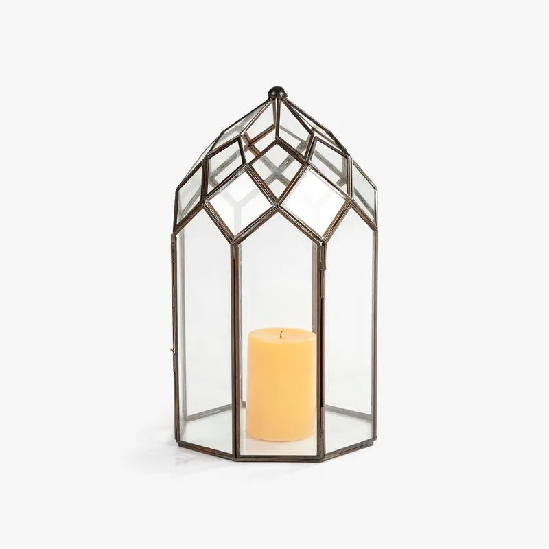 Orange Tree June Lantern media 6