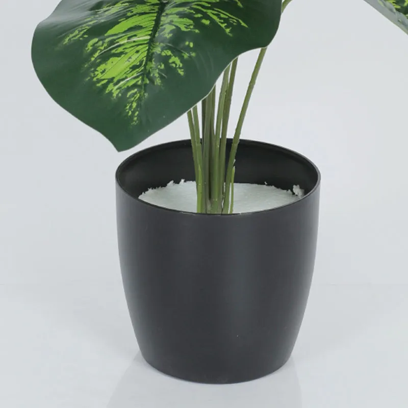Diora Artificial Green Dieffenbachia With Black Plastic Pot - 1.8 Feet media 3
