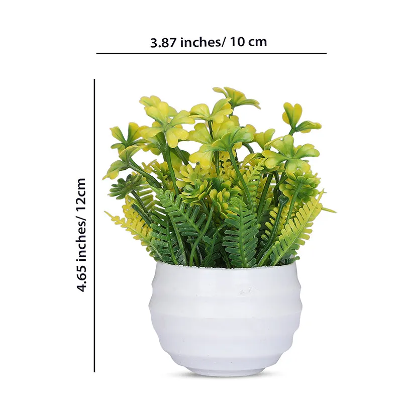 Eloise Artificial Plant With Black Plastic Pot - Set Of Three media 6
