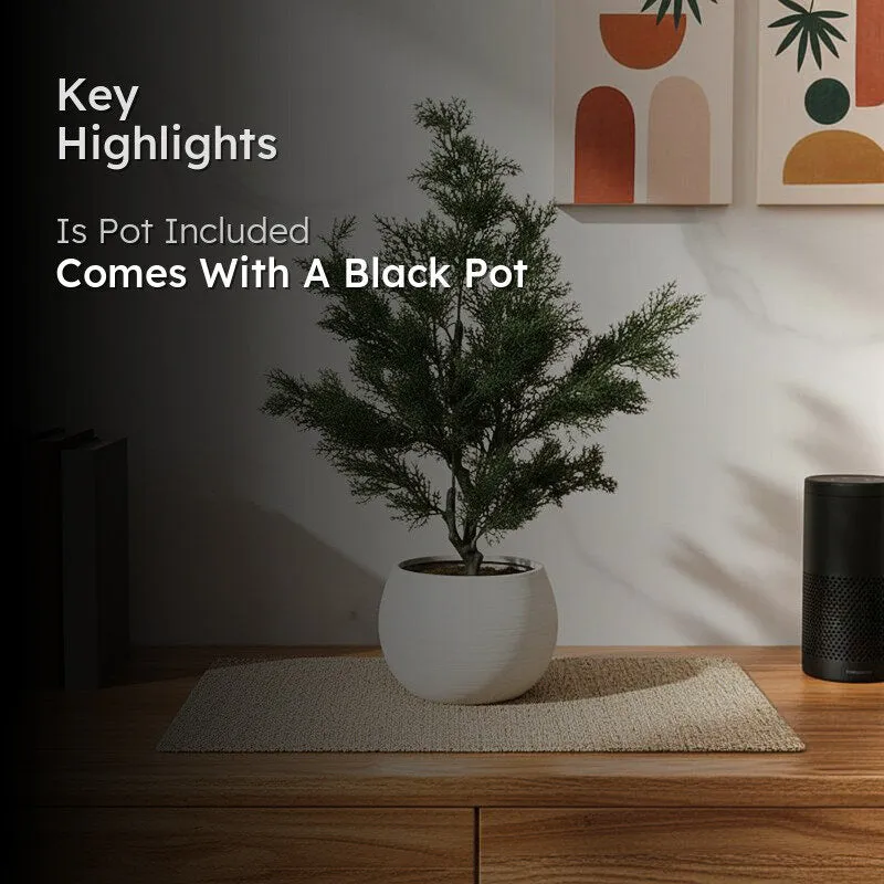Faux Lush Cypress Spiral Topiary Plant With Black Plastic Pot - 3.0 Feet media 2