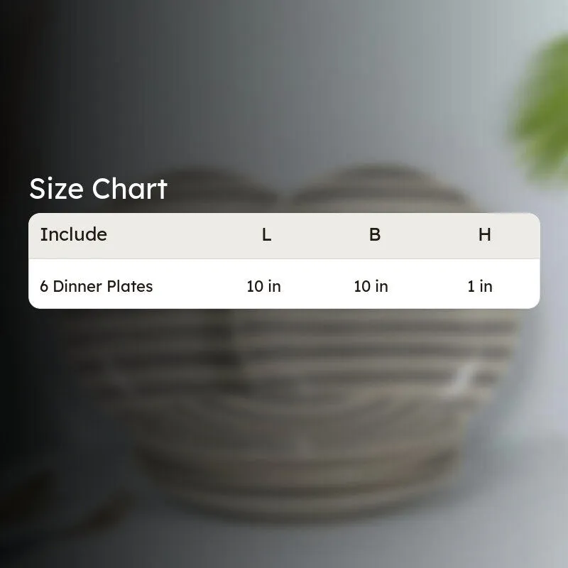 Elarion Dinner Plate (Grey,White) - Set Of Six media 6