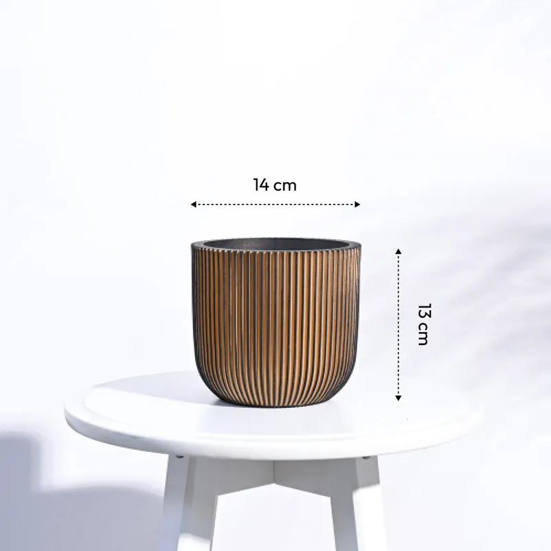 UGAOO Planter Ball Groove- Black Gold media 6