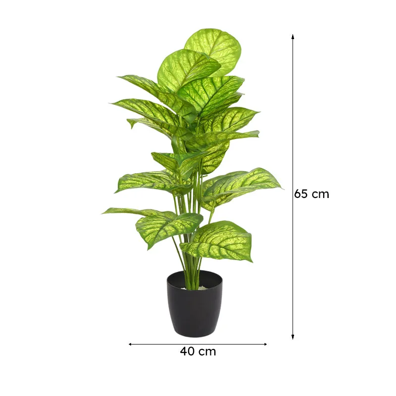 Calena Artificial Caladium With Black Plastic Pot - Green media 7