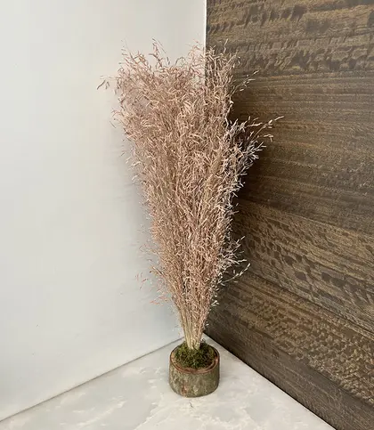 Dried Flowers & Leaves
