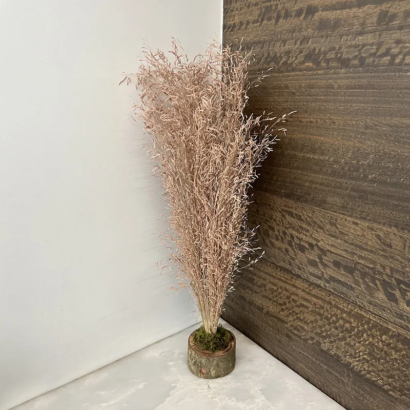 Field Fade Dried Grass - Brown media 1