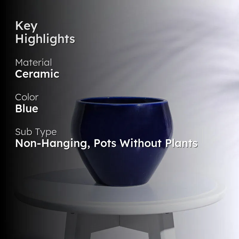 Ugaoo Apple Dark Blue Ceramic Pot media 2