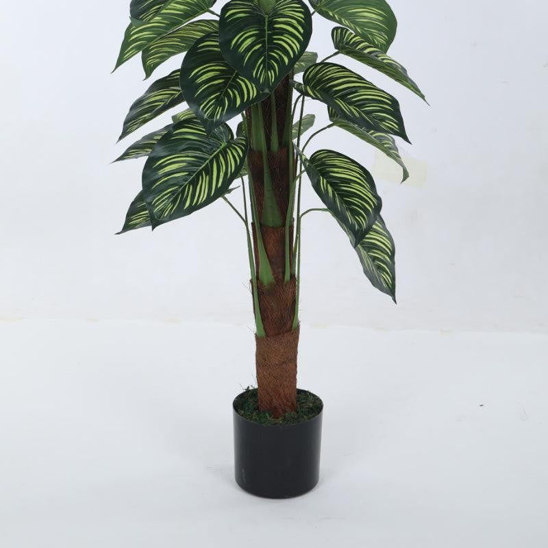 Faux Pola Calatheas Plant With Black Plastic Pot - 2.95 ft media 4