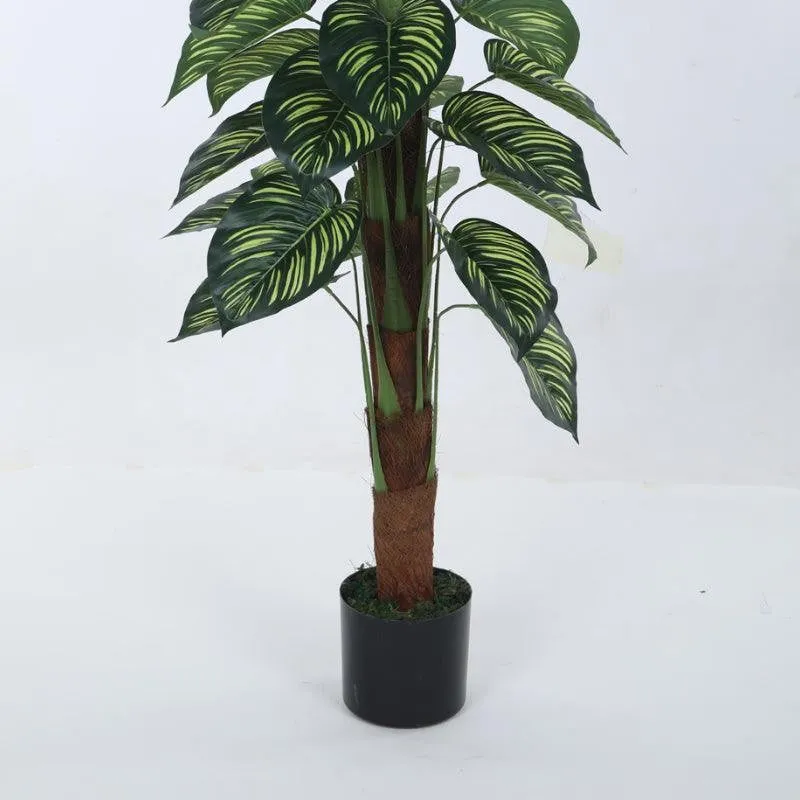 Faux Pola Calatheas Plant With Black Plastic Pot - 2.95 ft media 4