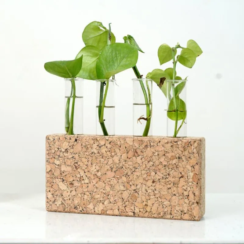 Nexo Cork Testube Planter media 5