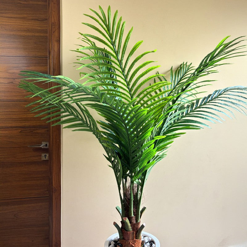 Areca Palm Artificial Plant With Black Plastic Pot - 170 cm (5.6 ft) media 3