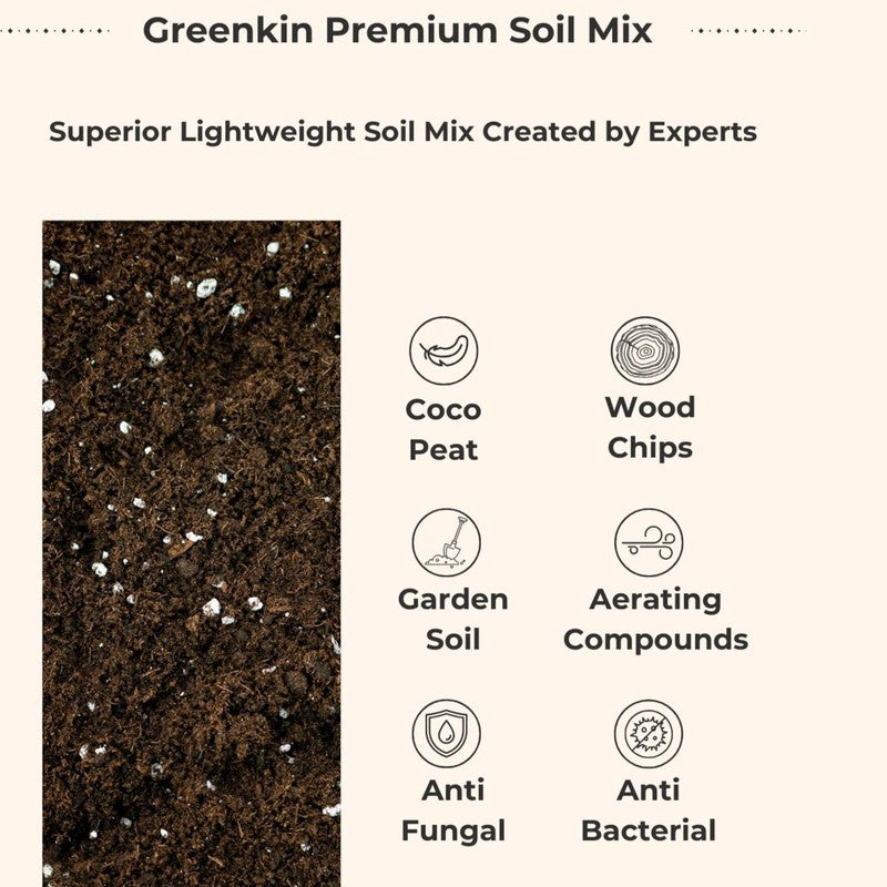 Greenkin Easy Care Air Purifying Live Plants - Set Of Four media 10