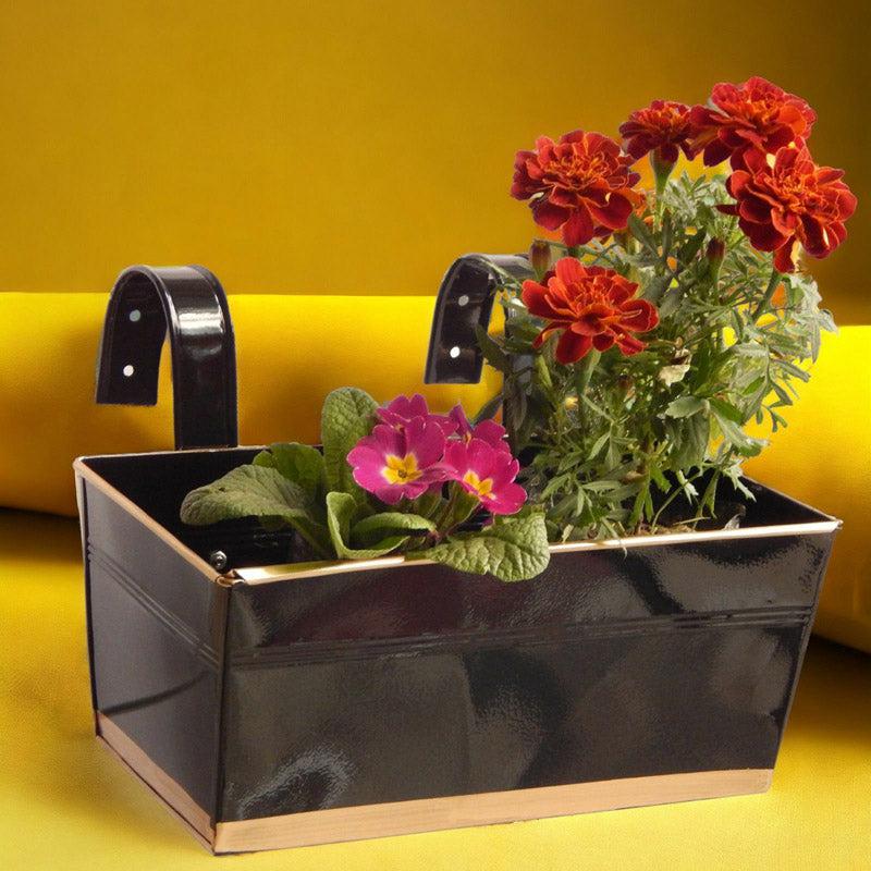 Adro Planter (Black) - Set Of Six media 4