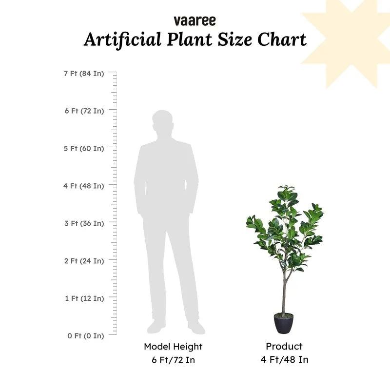Artificial Peperomia Plant Without Pot - 3.9 Feet media 7