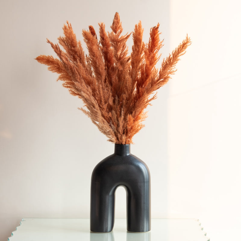 Sittora Pampas Stick (Honey) - Set Of Ten media 4