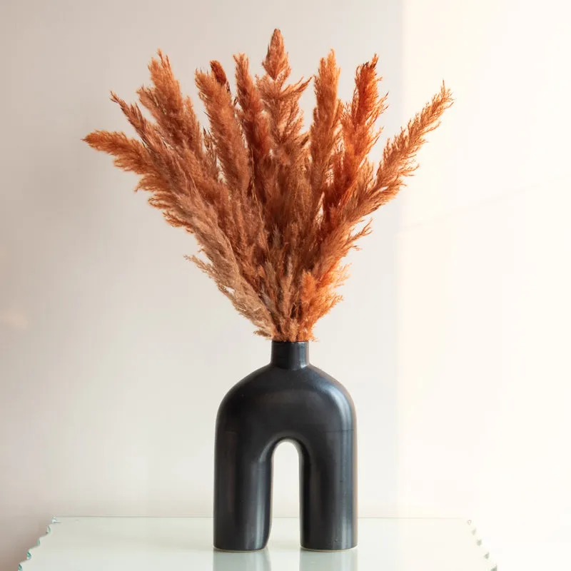 Sittora Pampas Stick (Honey) - Set Of Ten media 4