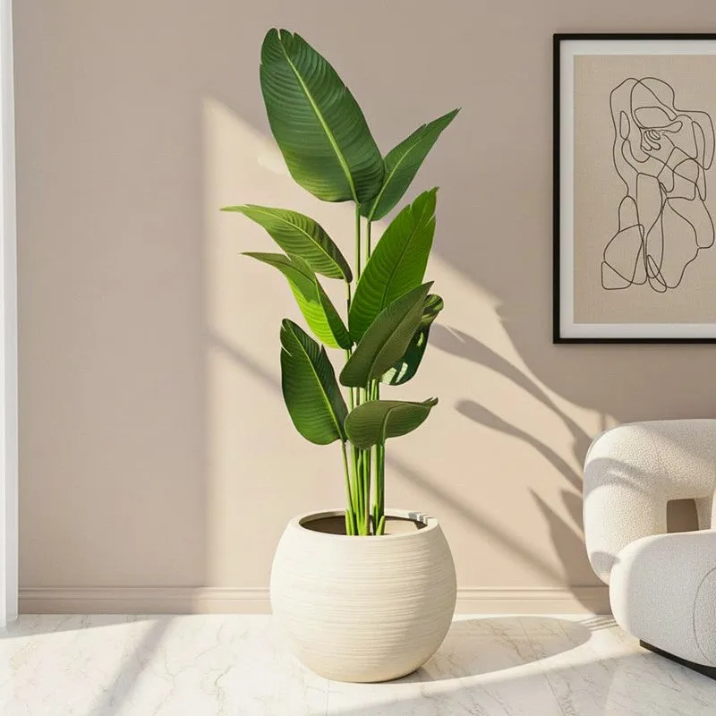 Floris Artificial Banana Plant With Black Plastic Pot - 5.1 Feet media 1