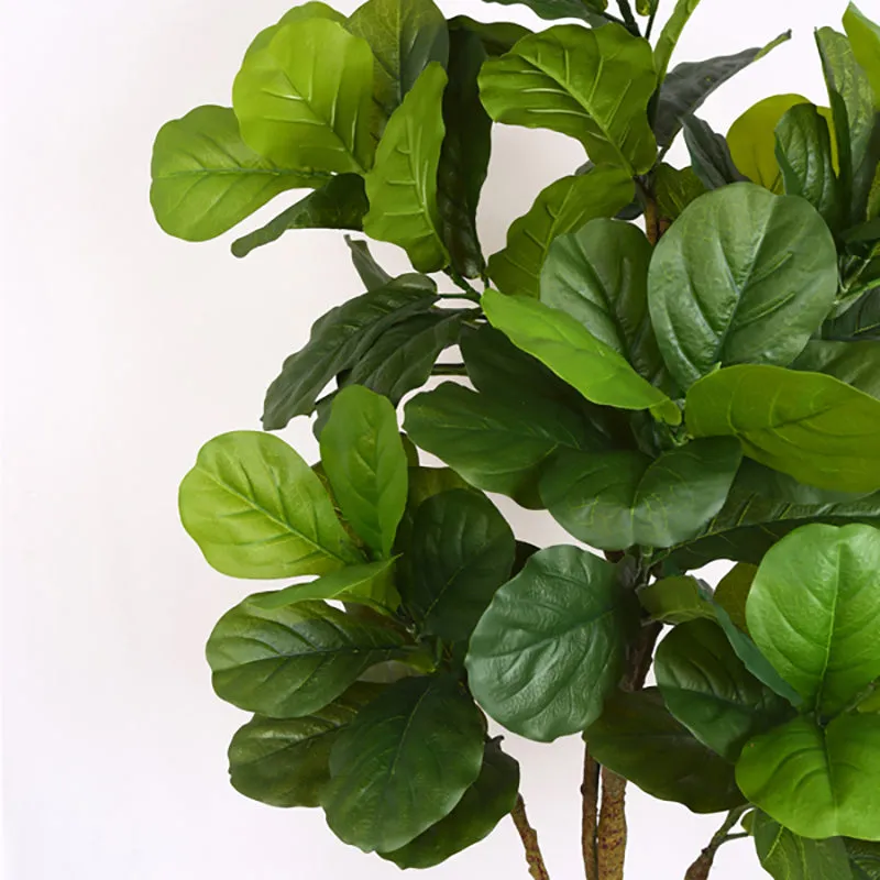 Verdiq Artificial Fiddle Fig With Black Plastic Pot - 5.5 Feet media 6