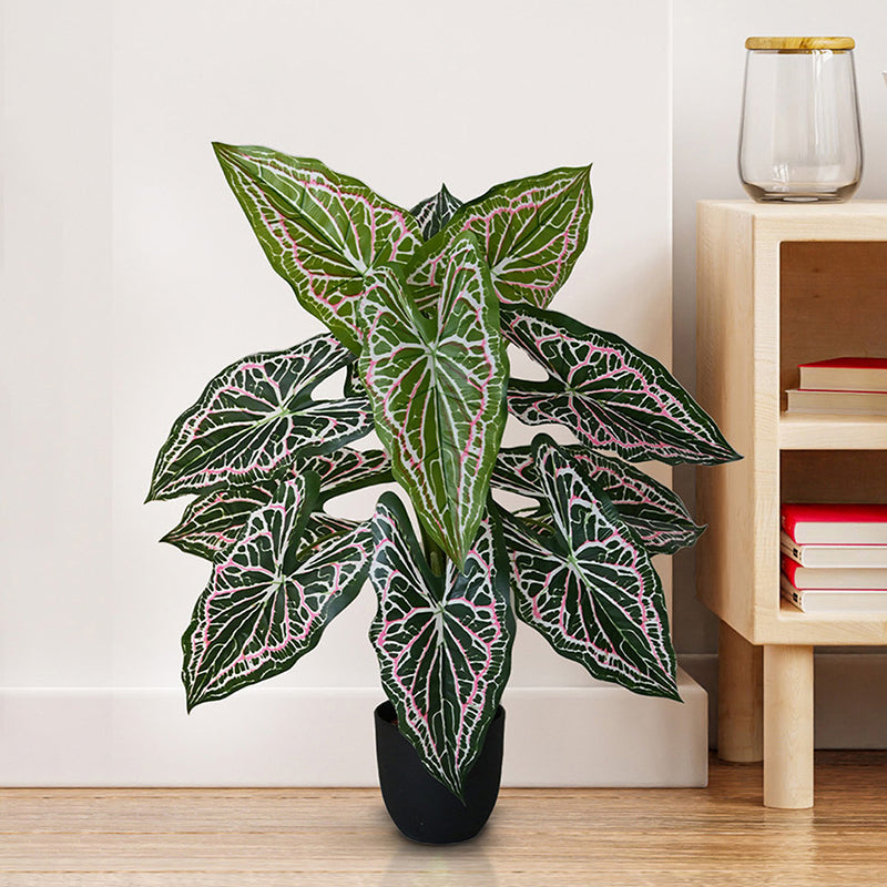 Faux Everlasting White Caladium Plant With Black Plastic Pot - 79 cm (2.6 ft) media 3