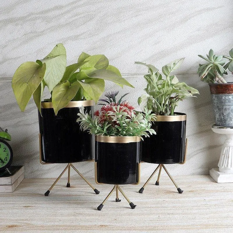 Aslana Kina Planter (Black) - Set Of Three media 3
