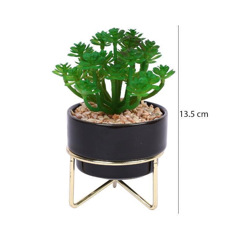 Faux Crassula In Ceramic Pot With Stand - 13.5 cms media 5
