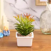 Artificial Flowers & Plants category