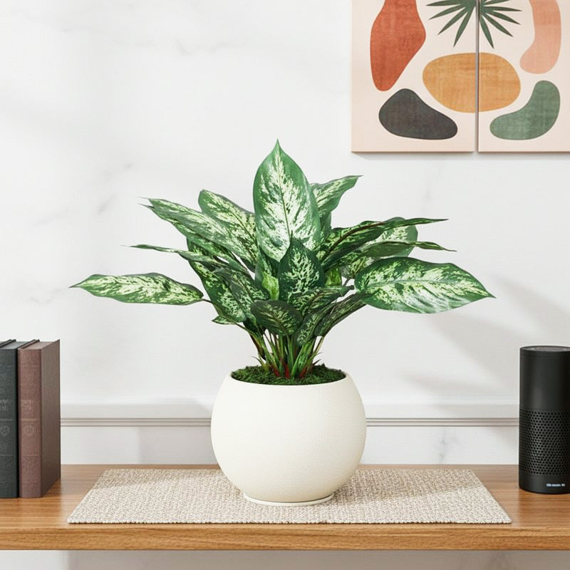 Artificial Dieffenbachia Plant Without Pot - 1 Feet