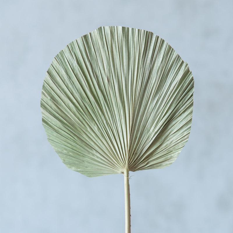 Sheiraa handmade Palm Leaf Stick - Set Of Five media 4