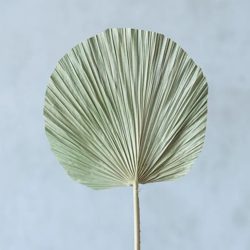 Sheiraa handmade Palm Leaf Stick - Set Of Five media 4