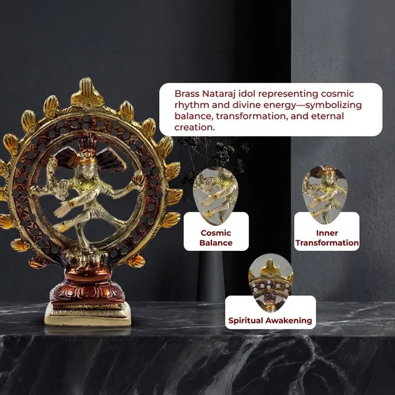Cosmic Nataraja Divine Brass Idol media 5