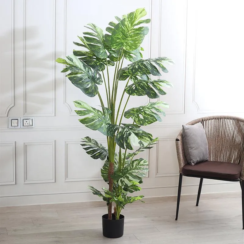 Greenius Artificial Monstera With Black Plastic Pot - 5.6 Feet media 3