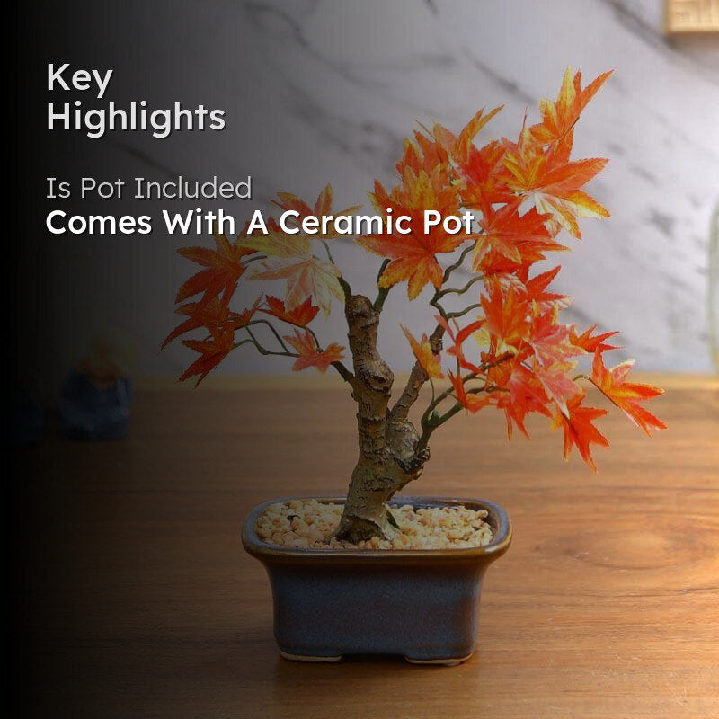 Faux Maple Bonsai In Tub Pot (23 cms) - Red media 2