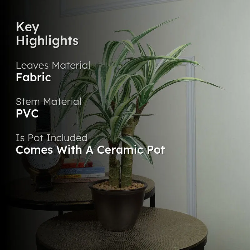 Artificial Yellow Dracaena Bonsai Plant With White Ceramic Pot - 1.8 Feet media 2