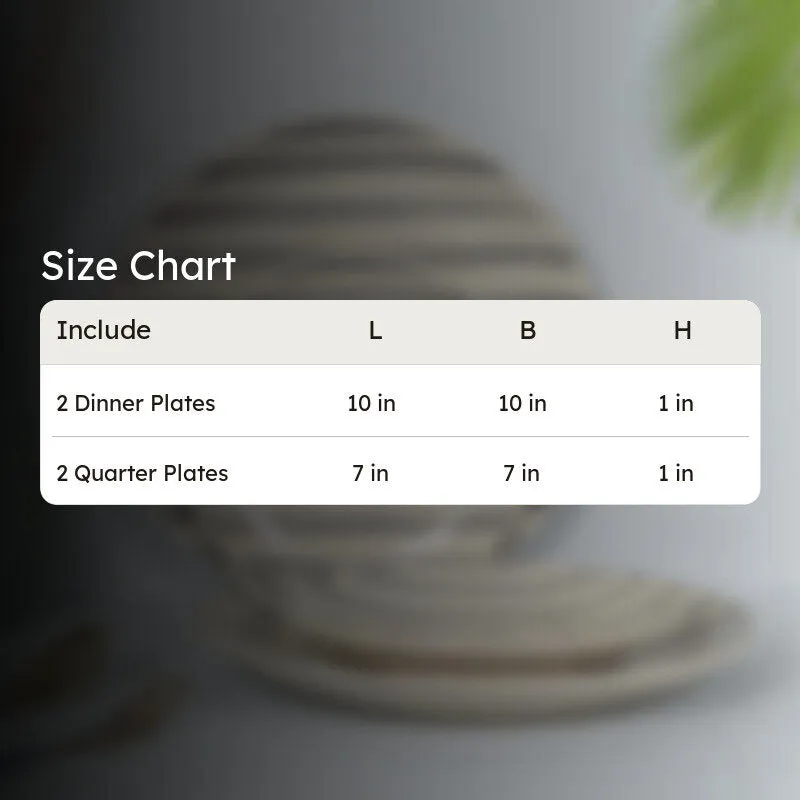 Ceramic Dinner Plates (Grey,White) - Four Piece Set media 6
