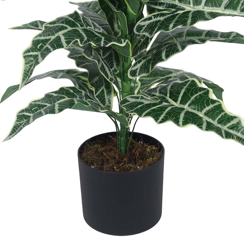 Faux Lush Happy Philo Plant With Black Plastic Pot (Dark Green) - 2.8 Feet media 6