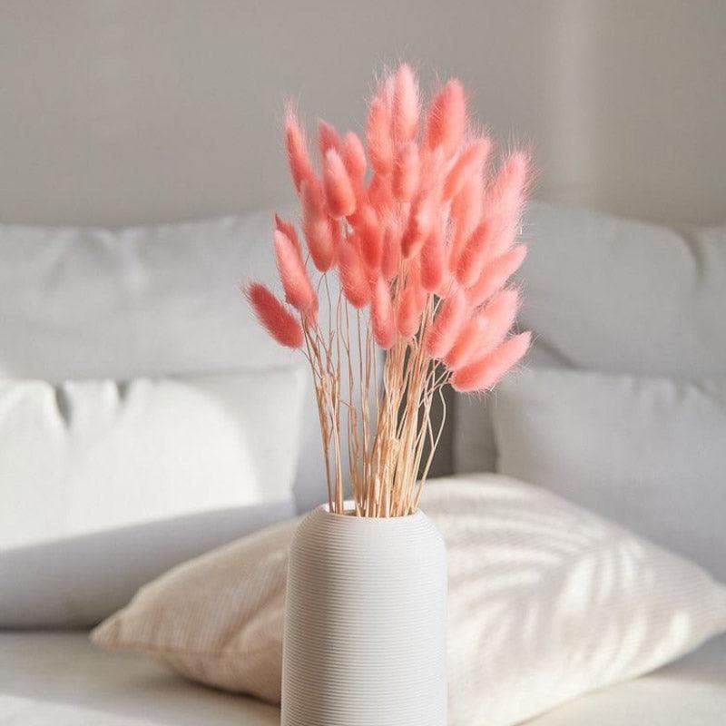 Naturally Dried Bunny Tail Stems (Pink) - Set of Thirty media 3