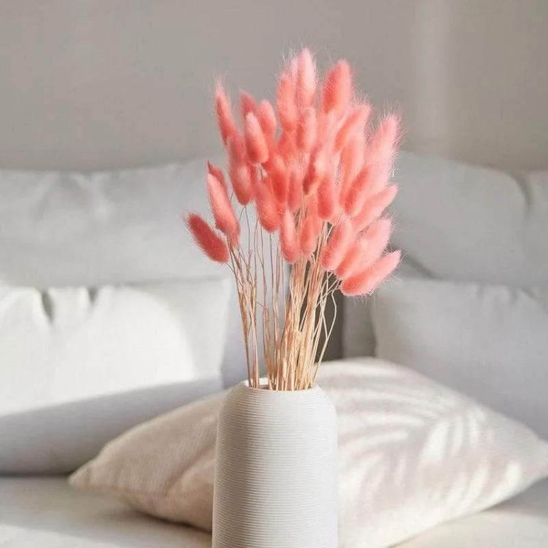 Naturally Dried Bunny Tail Stems (Pink) - Set of Thirty media 3